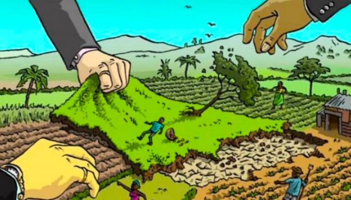 Ilustrasi mafia tanah